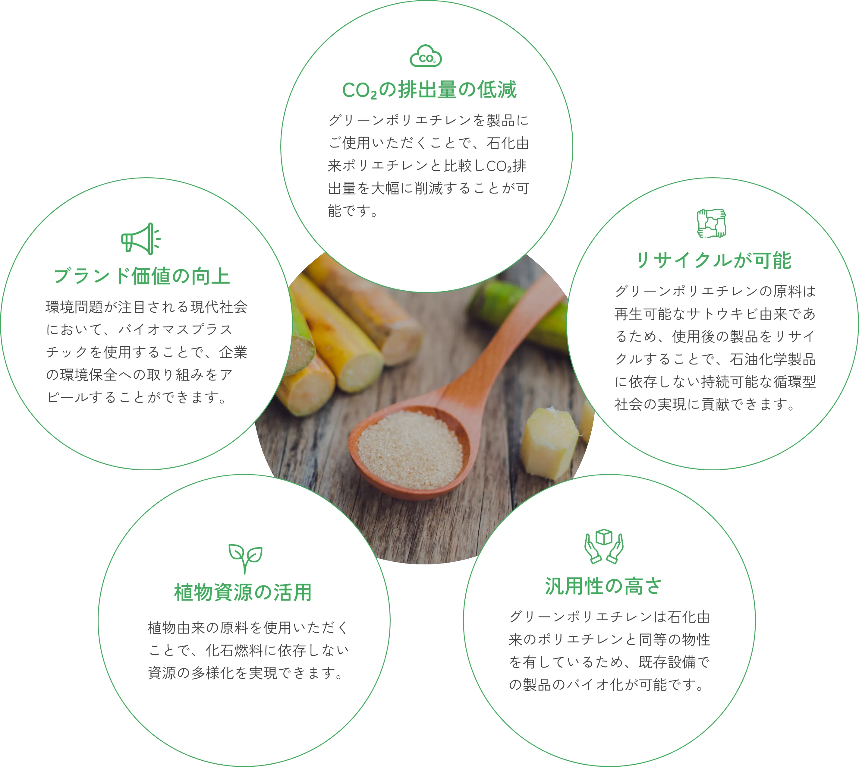 製品について